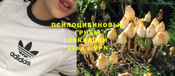 дживик Богданович
