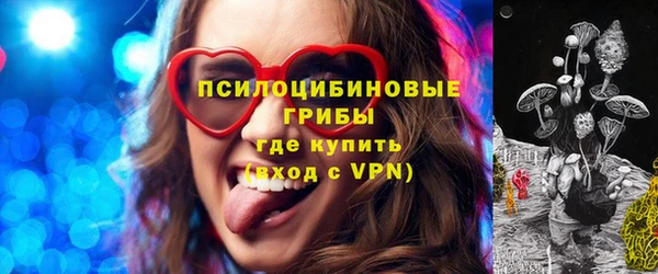 дживик Богданович